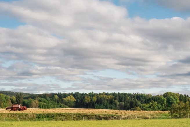 Odwołanie do Samorządowego Kolegium Odwoławczego przez sąsiada